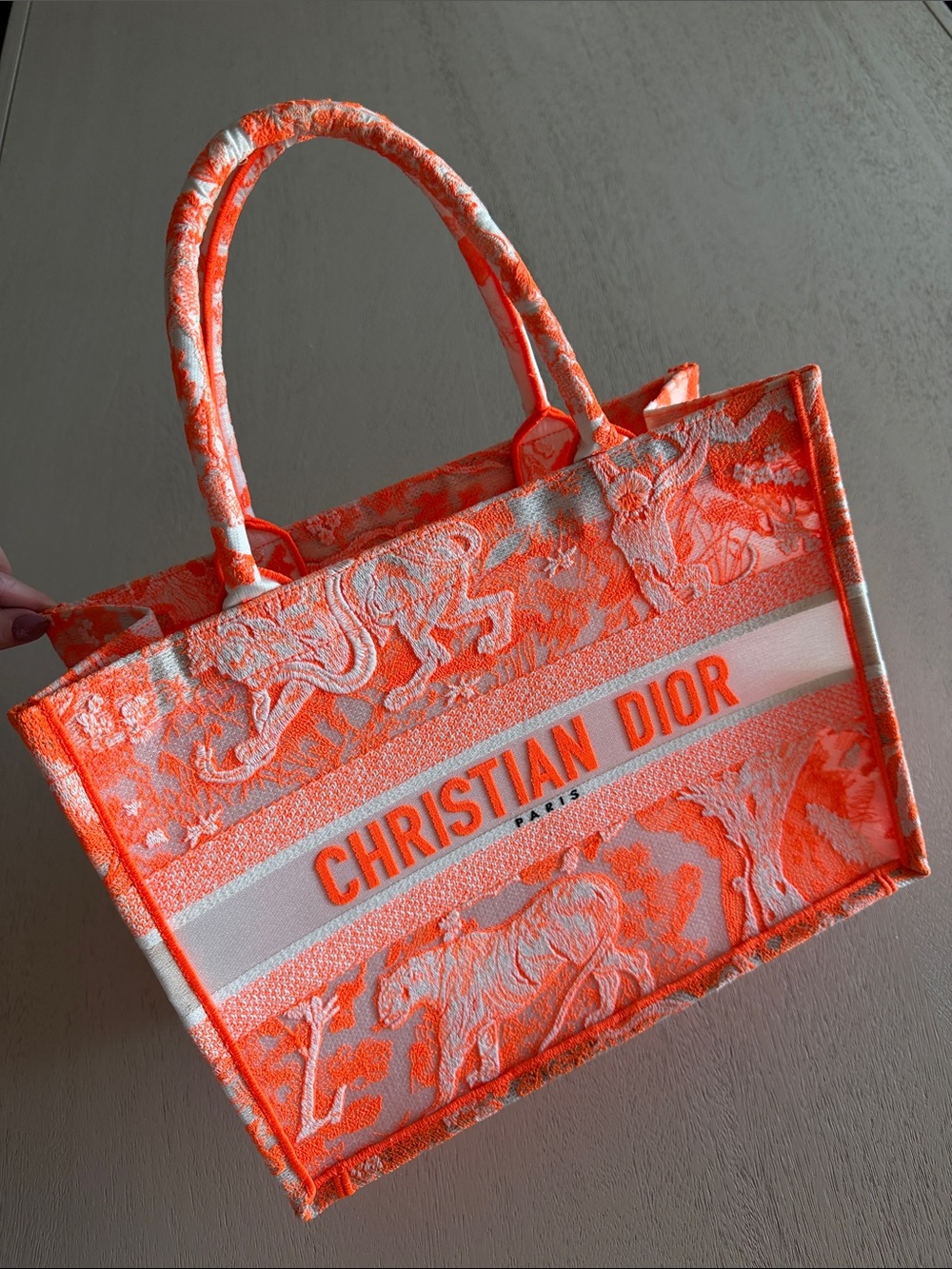 Dior Transparent Canvas Embroidered Medium Dioriviera Toile De Jouy Book Tote